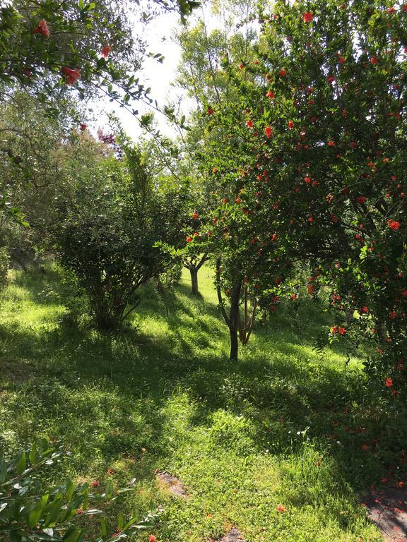 Casale Le Querce Apartamento Castelnuovo Berardenga Exterior foto